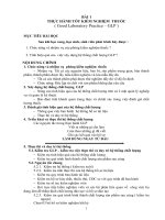 Bài giảng thực tế Kiểm nghiệm tài nhà máy GMPWHO