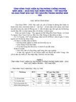 Tình Hình Thực Hiện Dự Án Phòng Chống Phong Năm 2006 – 2010 Khu Vực Miền Trung – Tây Nguyên  Và Giải Pháp Khu Vực Tây Nguyên Trong Những Năm Tới