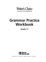 Grammar practice workbook grade 11 