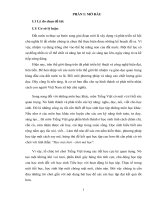 skkn tổ chức trò chơi trong giảng dạy phần vần  lớp 1