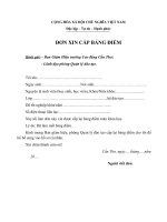 Đơn xin cấp lại bảng điểm (Trường cao đẳng Cần Thơ)