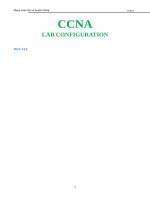 Tổng Hợp Các Câu Lệnh Cấu Hình Lab CCNA (Cisco Certified Network Associate)