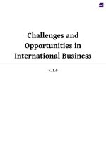 challenges and opportunities in international business