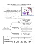 tổng hợp lý thuyết sinh học 12