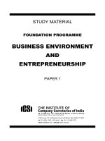 Business Enviroment and Entrepreneurship