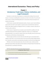 International economics theory and policy