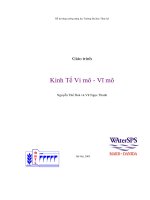 Giáo trình kinh tế vi mô   vĩ mô  nguyễn thế hoà 