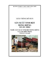 Giáo Trình Sản Xuất Tinh Bột Dong Riềng
