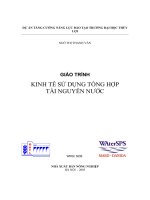 Giáo trình kinh tế sử dụng tổng hợp tài nguyên nư 