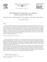 The leadership quarterly volume 17 issue 1 2006 doi 10 1016%2fj leaqua 2005 10 009 richard d  arvey; maria rotundo; wendy johnson; zhen zhang; matt    the determinants of leader