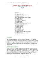 Giáo Án Tu Tập Cho Người Cư Sĩ Vì  Chánh Phật Pháp