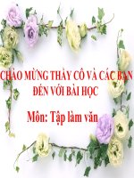 TLV Cau tao bai van mieu ta do vat