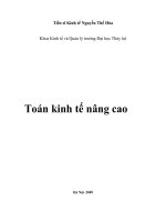 Toán kinh tế nâng cao  nguyễn thế hoà 