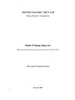 Kinh tế lượng nâng cao nguyễn thế hòa 