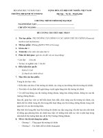 Đề cương chi tiết học phần Thị trường tài chính và các định chế tài chính (Đại học Kinh tế TP..HCM)