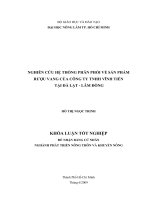 NGHIÊN CỨU HỆ THỐNG PHÂN PHỐI VỀ SẢN PHẨM RƯỢU VANG CỦA CÔNG TY TNHH VĨNH TIẾN TẠI ĐÀ LẠT  LÂM ĐỒNG