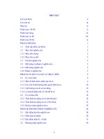 Nghiên cứu các yếu tố ảnh hưởng đến quyết định di cư theo mùa vụ của lao động nông thôn huyện trực ninh, tỉnh nam định 