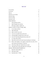 Phát triển sản xuất cà rốt trên địa bàn huyện cẩm giàng, tỉnh hải dương 