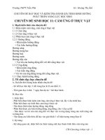 CHUYÊN đề dạy học và KIỂM TRA ĐÁNH GIÁ THEO ĐỊNH HƯỚNG PHÁT TRIỂN NĂNG lực học SINH