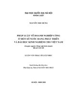 PHÁP LUẬT VỀ DOANH NGHIỆP CÔNG Ở MỘT SỐ NƯỚC ĐANG PHÁT TRIỂN VÀ BÀI HỌC KINH NGHIỆM CHO VIỆT NAM