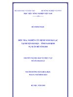 điều tra, nghiên cứu bệnh nấm hại lạc tại huyện hải hậu   tỉnh nam định vụ xuân hè năm 2015