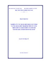 nghiên cứu tác dụng diệt khuẩn in vitro và ứng dụng điều trị bệnh viêm tử cung trên chó của dịch chiết cây đơn đỏ excoecaria cochinchinensis lour 