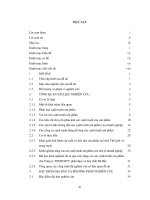 Nâng cao sức cạnh tranh sản phẩm urê của công ty tnhh một thành viên phân đạm và hóa chất hà bắc tại thị trường miền bắc 