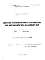 hoàn thiện tổ chức kiểm toán dự toán ngân sách nhà nước của kiểm toán nhà nước việt nam 