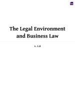 The legal environment and business law v1 0