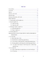 Nghiên cứu chất lượng dịch vụ khách hàng của công ty may việt mỹ thuộc tập đoàn tal 