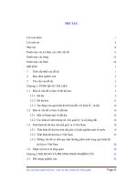 ảnh hưởng của đô thị hóa đến quản lý sử dụng đất tại thành phố nam định, tỉnh nam định 