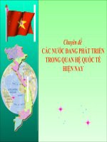 BÀI GIẢNG điện tử QUAN hệ QUỐC tế   các nước ĐANG PHÁT TRIỂN TRONG QUAN hệ QUỐC tế HIỆN