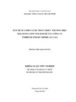 XÂY DỰNG CHIẾN LƯỢC PHÁT TRIỂN THƯƠNG HIỆU NHÀ HÀNG CƠM TẤM KIM KÊ CỦA CÔNG TY TNHH SXTMDV MINH CÁT TẤN