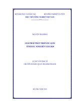 giải pháp phát triển du lịch tỉnh bắc ninh đến năm 2020