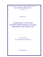 giải pháp kinh tế   tổ chức nhằm giảm thiểu ô nhiễm môi trường làng nghề ở thành phố bắc giang, tỉnh bắc giang