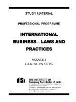 International business law and practices