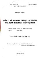 quản lý rủi ro trong cho vay lại vốn ODA của ngân hàng phát triển việt nam 
