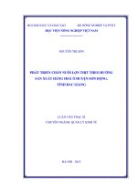 phát triển chăn nuôi lợn thịt theo hướng sản xuất hàng hoá ở huyện sơn động, tỉnh bắc giang 