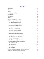 Thực trạng bệnh viêm tử cung của đàn lợn nái ngoại nuôi theo mô hình trang trại tại huyện bình giang, tỉnh hải dương và thử nghiệm điều trị 