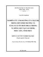 Nghiên cứu ảnh hưởng của mật độ trồng đến sinh trưởng và năng suất ớt hotchilli trồng vụ đông 2015 tại cao minh, phúc yên, vĩnh phúc 
