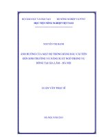 ảnh hưởng của mật độ trồng bằng bầu cải tiến đến sinh trưởng và năng suất ngô trong vụ đông tại gia lâm – hà nội 