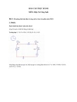 Báo cáo thực hành môn: Điện tử công suất