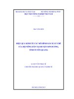 hiệu quả kinh tế các mô hình sản xuất chè của hộ nông dân tại huyện sơn dương, tỉnh tuyên quang
