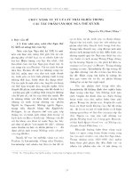 Chức năng ngôn ngữ quốc gia và vị trí môn tiếng Việt ở Trường Đại học Ngoại ngữ, Đại học Quốc gia Hà Nội
