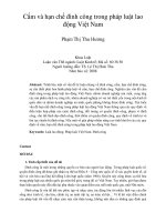 Cấm và hạn chế đình công trong pháp luật lao động Việt Nam