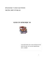 Giáo án sinh học 10 bài 22