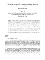 Các biện pháp điều tra trong tố tụng hình sự