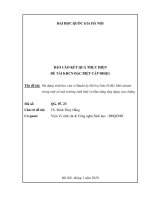 Đa dạng sinh học của vi khuẩn kỵ khí ôxy hóa Fe(II), khử nitrate trong một số môi trường sinh thái và khả năng ứng dụng của chúng