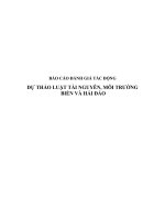 Báo Cáo Đánh Giá Tác Động Dự Thảo Luật Tài Nguyên, Môi Trường Biển Và Hải Đảo