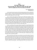 An toàn, vệ sinh lao động đối với lao động nữ trong pháp luật lao động Việt Nam